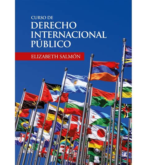 Curso De Derecho Internacional P Blico