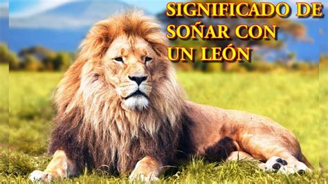 So Ar Con Un Le N O Leones Bien Explicado Qu Significa So Ar Con Un