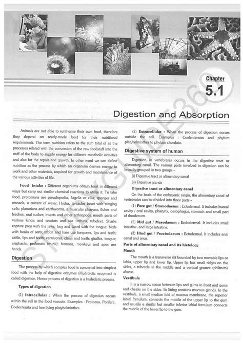 Solution Digestion And Absorption Class 11 Biology Important Neet