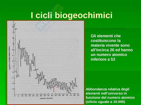 Ecologia Cicli Biogeochimici