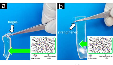 Figure 1 From Design Of Self Healing Supramolecular Rubbers By Introducing Ionic Cross Links