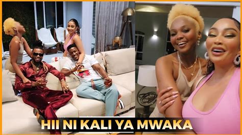 Video Diamond Akiwa Na Zuchu Wakutana Na Zari Akiwa Na Mpenzi Wake