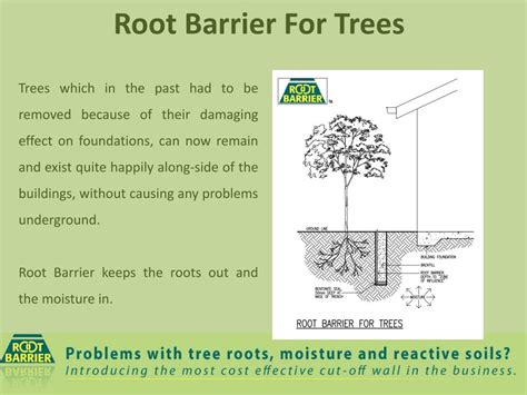 PPT - Tree Max & Root Barrier -Cost Effective Prevent Root and Moisture ...