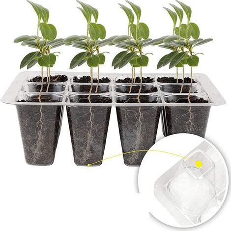 Pack Bac Semis Mini Plateau Semence Serre Potager Pour Semis