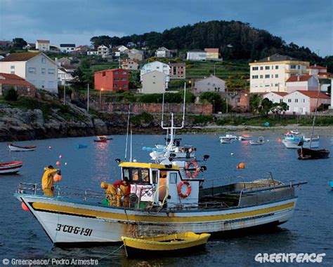 Pesca Sostenible Defensa De Los Océanos Greenpeace España