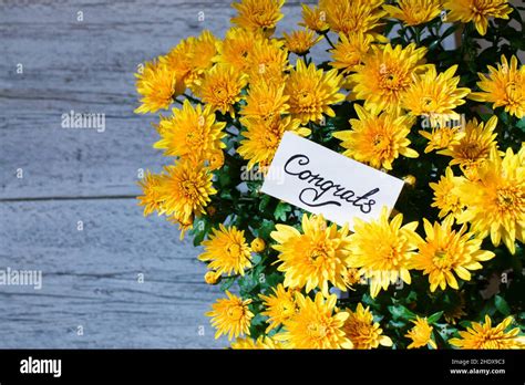 Bouquet Congratulations Bouquets Congratulation Stock Photo Alamy