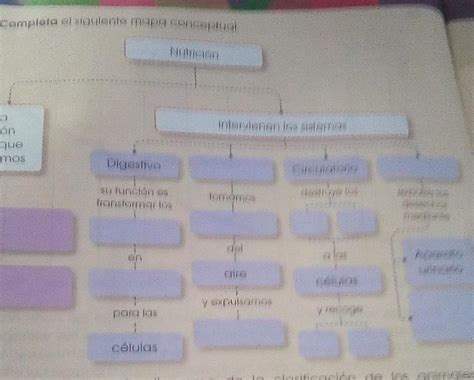 Completa El Siguiente Mapa Conceptual Ayuda Porfa Brainly Lat