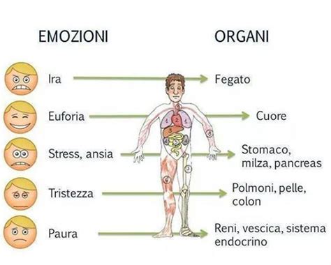 La Medicina Tradizionale Cinese Considera Che Tutte Le Malattie E Le