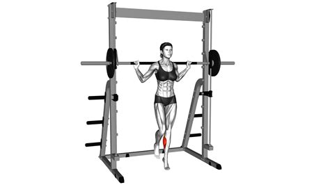 Smith One Leg Floor Calf Raise Female Exercise Guide And Tips