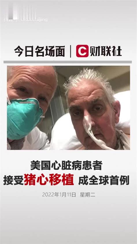 全球首例！人类首次接受转基因猪心脏移植，患者术后3天情况良好手机新浪网