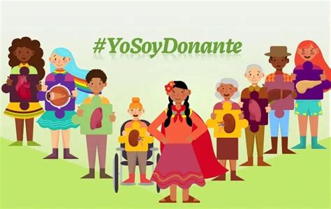 Donación De órganos En México ¿cómo Es El Registro Datanoticias