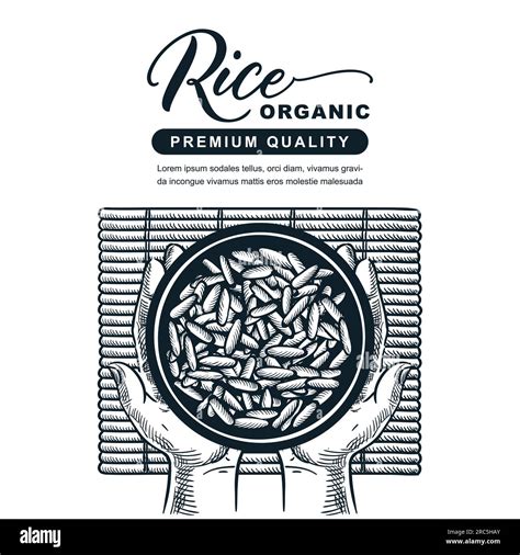 Rice Package Label Banner Design Template Bowl With Boiled Rice On