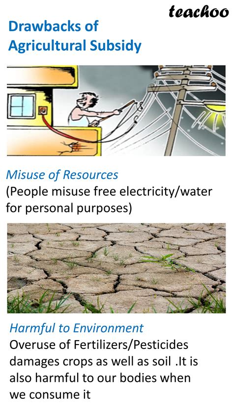 Agriculture Subsidies Meaningbenefitsdrawback Chapter 2 Ied Indian