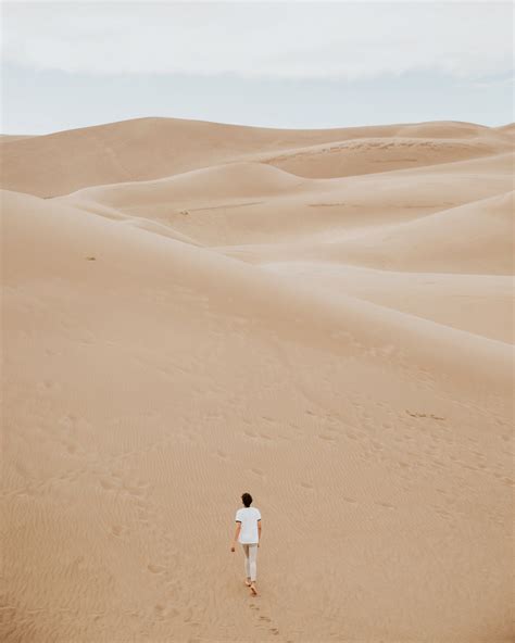 Free Images Landscape Walking Desert Dune Desolate Habitat