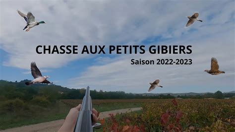 CHASSE AUX PETITS GIBIER Saison 2022 2023 YouTube