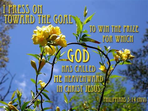 Press On Toward The Goal Scripture Reference Philippians Flickr