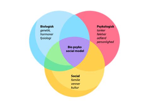 Den Bio Psyko Sociale Model En Helhedsorienteret Tilgang