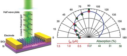 Highly Sensitive Detection Of Polarized Light Using Anisotropic D Res