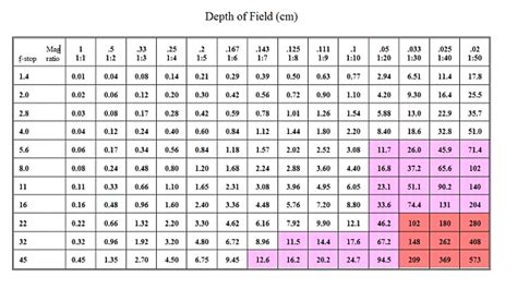 Depth of Field in Depth! - Bob Atkins Photography