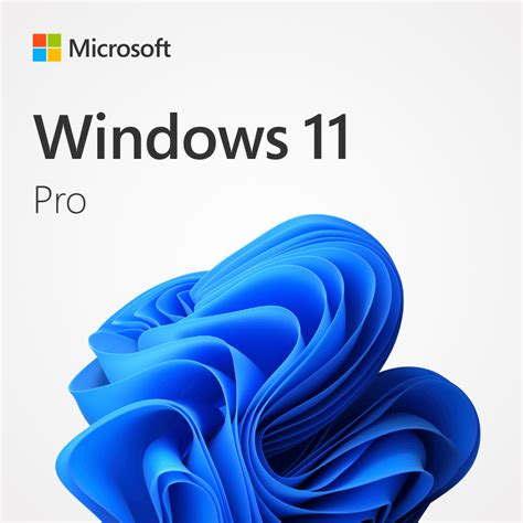 Microsoft Windows 11 Pro Upgrade, From Windows 11 Home, 02/28/2024
