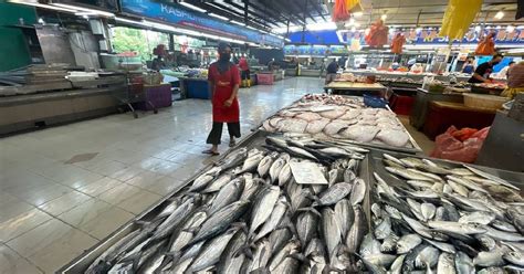 Bekalan Ikan Negara Mencukupi Jabatan Perikanan Berita Harian