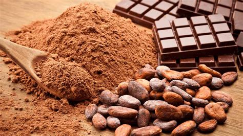 Cacao Benefits And Side Effects Healthtrends