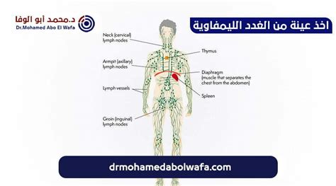 5 أسباب لعلاج اورام الغده الدرقيه بالتردد الحراري المميزات