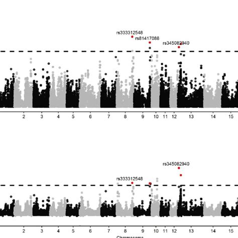 Manhattan Plots For The Genome Wide Association Analysis Of The