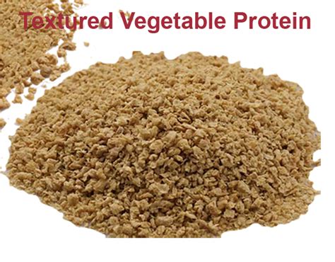 Dalkem Textured Vegetable Protein TVP Textured Soy Protein TSP 500