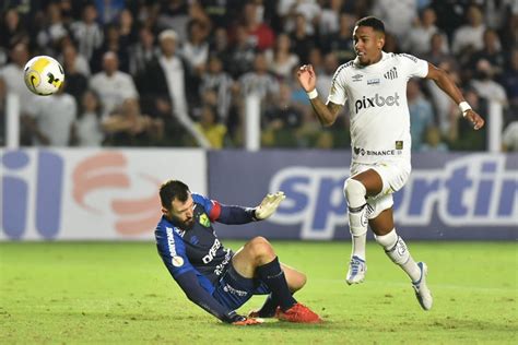 Santos Goleia E Botafogo Surpreende Resumo Do Brasileir O Agemt