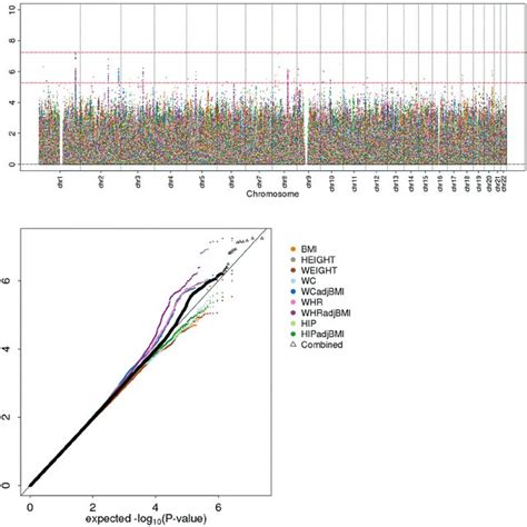 Genome Wide Sex Difference Scan Fails To Pinpoint Loci A Manhattan