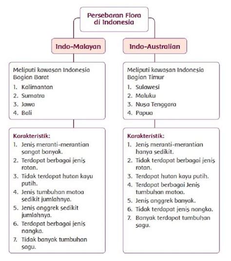 Peta Persebaran Flora Dan Fauna Di Indonesia Kunci Jawaban Kelas Riset