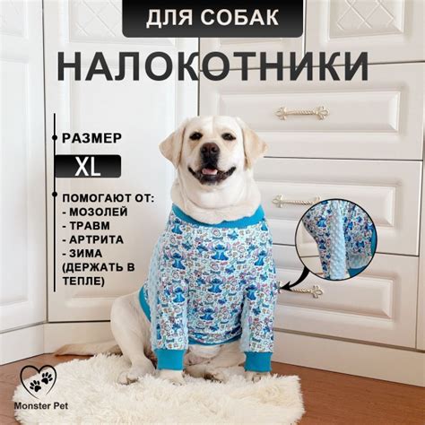 Бандаж ортопедический для животных купить на OZON по низкой цене ...