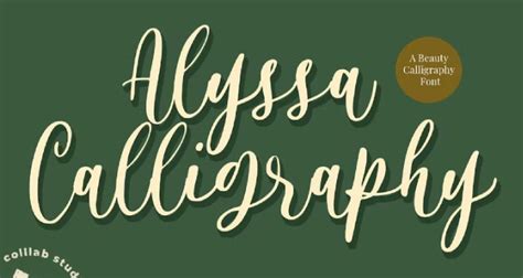 Best Cricut Calligraphy Fonts | Envato Tuts+