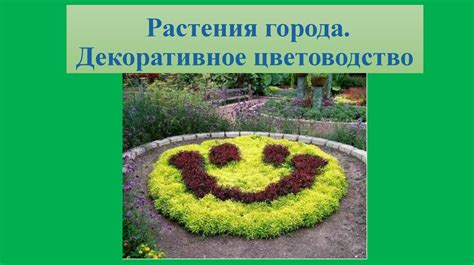 Растения города. Декоративное цветоводство - презентация онлайн