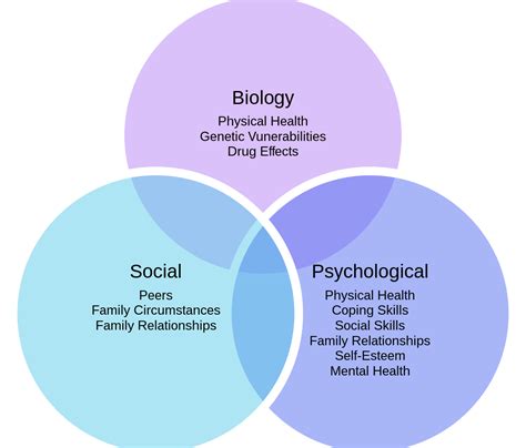 Biopsychosocial Model Tldrpt