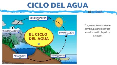 Qué Es El Ciclo Del Agua Resumen Belleza Estética