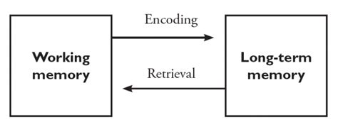 module  memory introduction  psychology  edition june