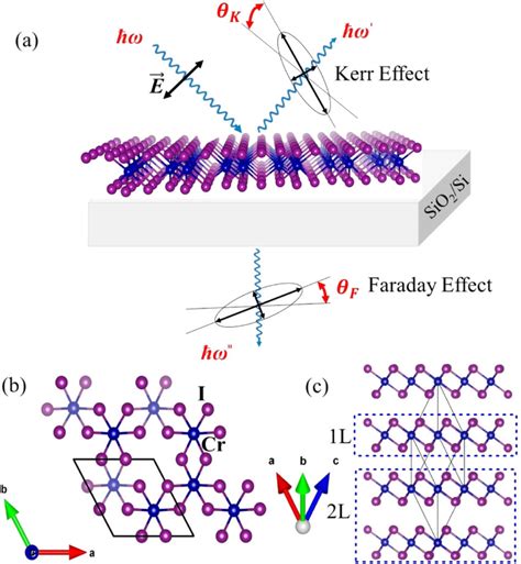 A Schematic Illustration Of Magneto Optical Kerr And Faraday Effects