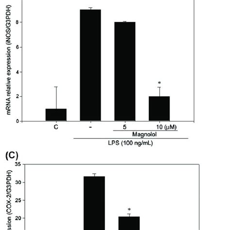 Inhibitory Effects Of Magnolol On LPS Induced INOS And COX 2 Gene And