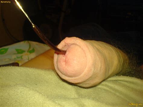 Amateur Pics IMG Porn Pic