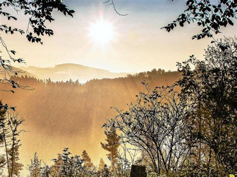 Erster Friedwald in Ostthüringen Waldbestattung soll in Rudolstadt