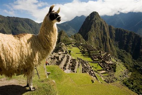 Machu Picchu Private Guided Tour From Aguas Calientes Sacred Valley