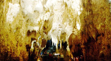 Glo-Worthy Waitomo Caves: New Zealand's Glow with the Flow 6