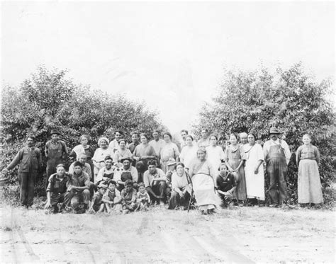 A Sea of Orchards - Door County Pulse
