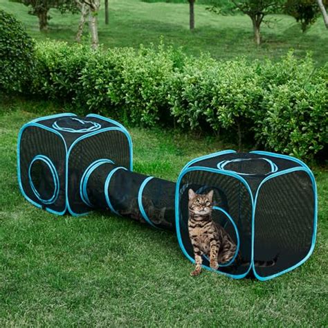 I Tested The Best Outdoor Cat Tent With Tunnel Here S Why It S