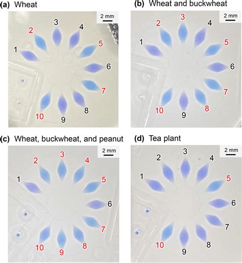 Photographs Taken With A Smartphone Camera Showing The Colorimetric