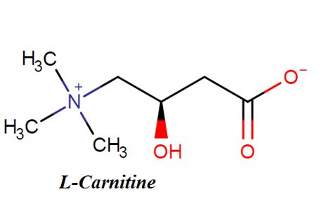 L-Carnitine - Benefits, Dosage, Side effects and Reviews - Drugs Details