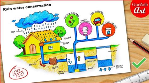 Rain water conservation Diagram drawing || easy way || Labeled Science ...