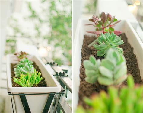 Truly Everyday: Our Balcony Garden